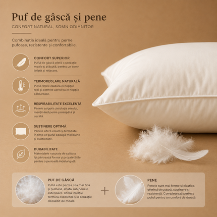 Aspecte importante pentru perna puf gasca